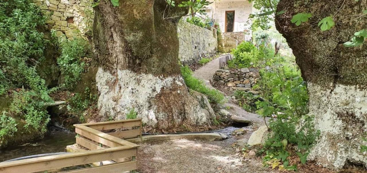 Platanus House Villa Meskla Kültér fotó